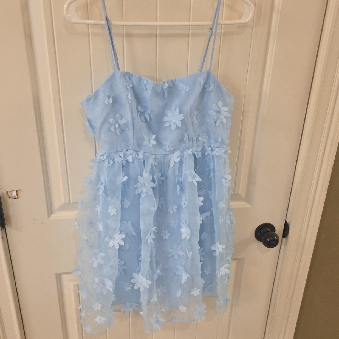 Windsor Powder Blue 3d Floral Tulle Mini Dress